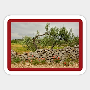 Landscape Near Loziscz, Brac Island, Croatia Sticker